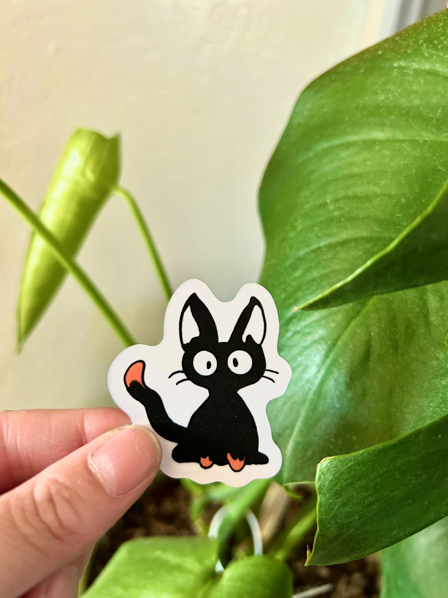 Witchy Kitty